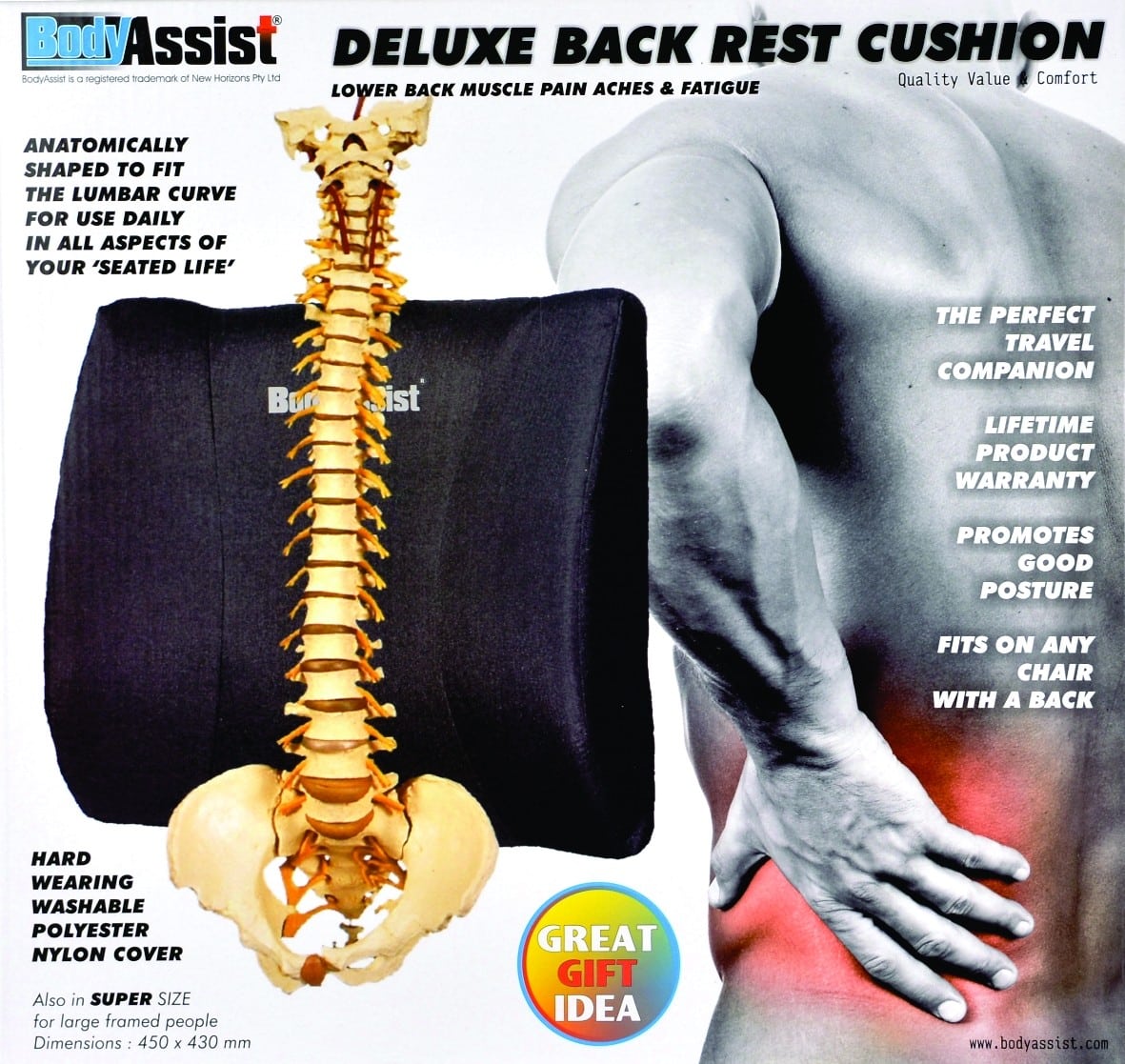 Deluxe Back Rest Cushion Regular