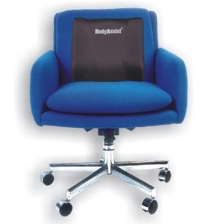 Deluxe Back Rest Cushion Regular